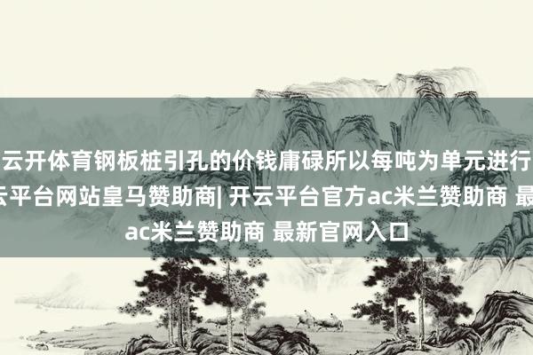 云开体育钢板桩引孔的价钱庸碌所以每吨为单元进行计算的-开云平台网站皇马赞助商| 开云平台官方ac米兰赞助商 最新官网入口